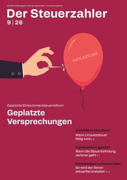 Cover Magazin: Der Steuerzahler, Ausgabe Juli / Ausgust 2026