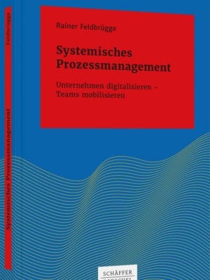 systematisches prozessmanagement