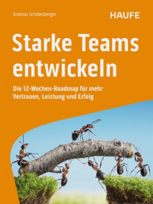 Starke Teams entwickeln