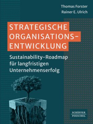 Strategische Organisationsentwicklung