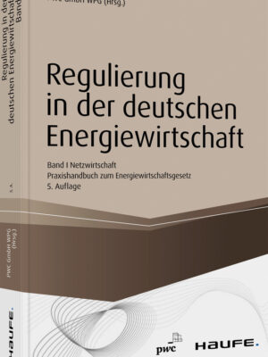 Regulierung in der deutschen Energiewirtschaft. Band I Netzwirtschaft